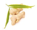 Collection of ginger root Royalty Free Stock Photo