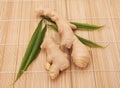 Collection of ginger root Royalty Free Stock Photo