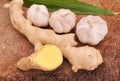 Collection of ginger root Royalty Free Stock Photo