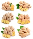 Collection of ginger root Royalty Free Stock Photo