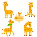 Collection Giraffe In Different Poses. Funny Characters Set. Royalty Free Stock Photo