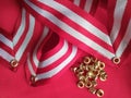 A collection of gold eyelets and three striped medallion ribbons Royalty Free Stock Photo
