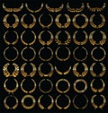 Golden laurel wreath isolated on black background background