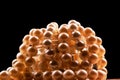 a collection of golden shimmering natural pearls