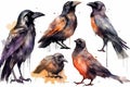 Collection of gothic ravens, Watercolor