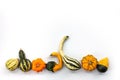 Collection of gourds aligned on white background with copy space. Fall and haloween still life