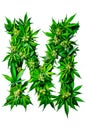 Collection of green cannabis leaves creatively arranged to form the letter M. Alphabet. Isolated