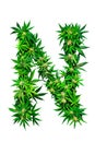 Collection of green cannabis leaves creatively arranged to form the letter N. Alphabet. Isolated