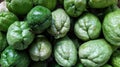 Collection of green chayote squash wallpaper. Royalty Free Stock Photo