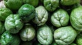 Collection of green chayote squash wallpaper.