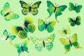 Collection Of Green Fantasy Butterflies