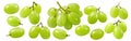 Collection of green grape berries isolated on white background