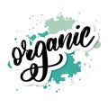 Collection of Green Healthy Organic Natural Eco Bio Food Products lettering calligraphy Royalty Free Stock Photo