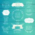 Collection of green labels and badges for organic, natural, bio Royalty Free Stock Photo