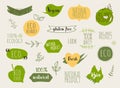 Collection of green labels and badges for organic, natural, bio and eco friendly products. Vintage vector,green colors Royalty Free Stock Photo