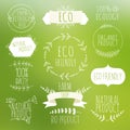 Collection of green labels and badges for organic, natural, bio Royalty Free Stock Photo