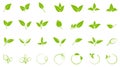 collection of green leaves, design elements for logos or symbols Royalty Free Stock Photo