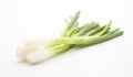 collection green onion on the white