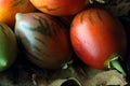 A COLLECTION OF GREEN AND RIPE TREE TOMATO FRUIT Royalty Free Stock Photo