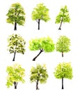 Collection of green trees on white background