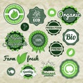 Collection green vector labels, badges and icons