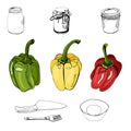 Collection of green, yellow and red hand drawn sweet peppers and different monochrome objects. Ink and colored sketch.