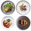 Collection of grilled beef steak isolated Royalty Free Stock Photo