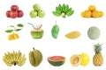 Collection group of freshness fruits on white background