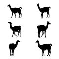 Collection of guanaco silhouettes