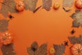Collection Halloween And Autumn party objects frame