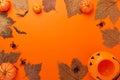 Collection Halloween And Autumn party objects frame