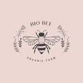 Collection of hand drawn bee, organic honey, logo, emblem, label and packaging design