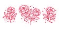 Collection of hand drawn botanical pink rose floral elements for feminine beauty logo