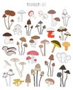 Collection of hand drawn colorful mushrooms. Set isolated edible