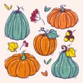 Collection of hand drawn colorful pumpkins vector illustrations. Plants doodles. Perfect for recipes, menu, label, icon