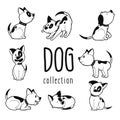 Collection of hand drawn dog in eight different postures vector illustration Royalty Free Stock Photo