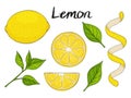 Collection of hand drawn elements, yellow lemon