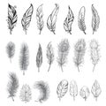 Collection of hand drawn feather. Royalty Free Stock Photo