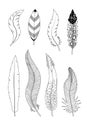Collection of hand drawn feathers. Ink illustration isolated on white background Royalty Free Stock Photo