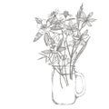 Collection of hand drawn flowers and plants. Botany. Set. Vintage flowers. Black and white illustration in the style of Royalty Free Stock Photo