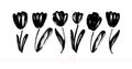 Collection of hand drawn graphic tulips. Vector floral clip art elements. Royalty Free Stock Photo