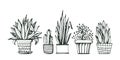 Collection of hand drawn houseplants in pots on white background. Ink drawing. Vector illustration Royalty Free Stock Photo