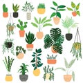 Collection of hand drawn indoor house plants on white background. Collection of potted plants. Colorful flat vector