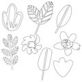 Set with hand drawn isolated floral elements Royalty Free Stock Photo