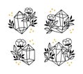 Collection of hand drawn magical elements with crystal, flower, stars & leaf branch