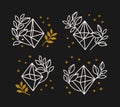 Collection of hand drawn magical elements with crystal, stars & leaf branch