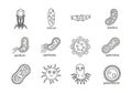 Collection of hand drawn microscopic organisms and bacteria illustrations Royalty Free Stock Photo