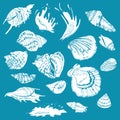 Collection of hand drawn sketch with seashells and waves. White elements on aquamarine background. Royalty Free Stock Photo