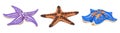 Collection of hand drawn Starfish. Royalty Free Stock Photo