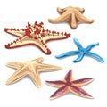 Collection of  hand drawn Starfish. Vector illustration. Summer design elements isolated in a white background. Royalty Free Stock Photo